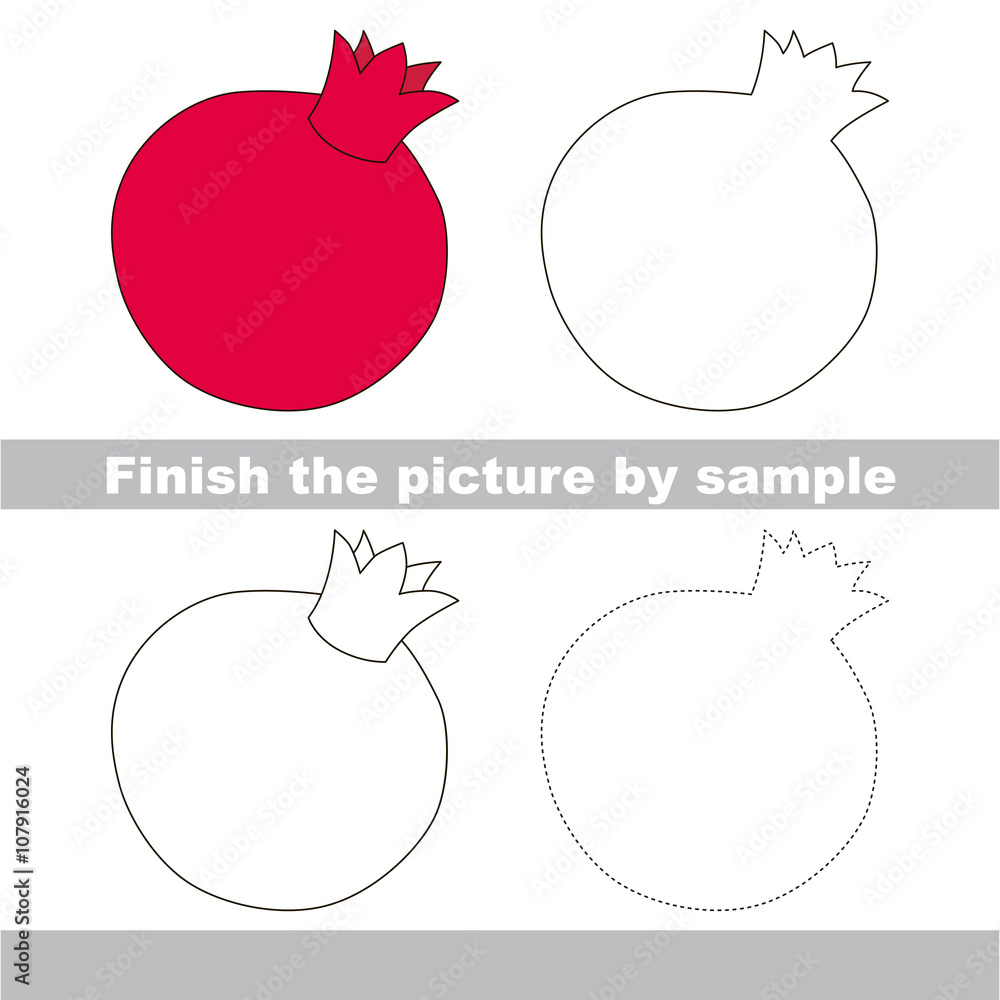 Pomegranate Drawing by Lisa Larsen - Fine Art America