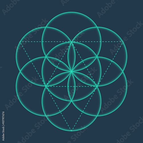 Flower of Life sign. Vector isolated Geometric Symbol Flower of Life. Flower of Life symbol with circles. Metatron's Cube. Sacred Geometric glyph - Flower of life. Holy sacred symbol. Sacred Geometry