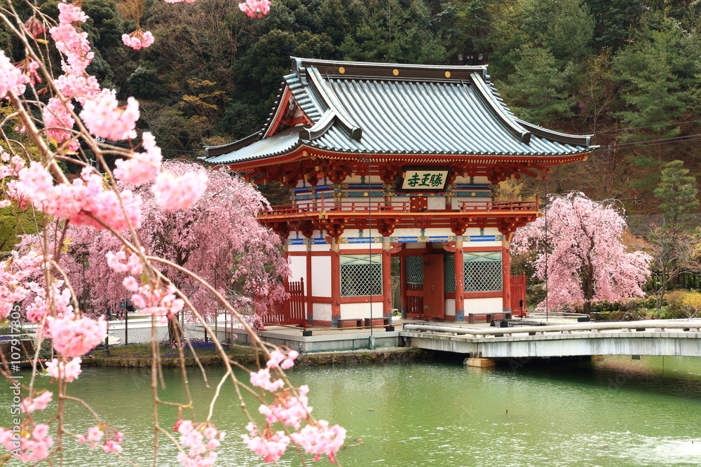 Naklejka premium 勝尾寺