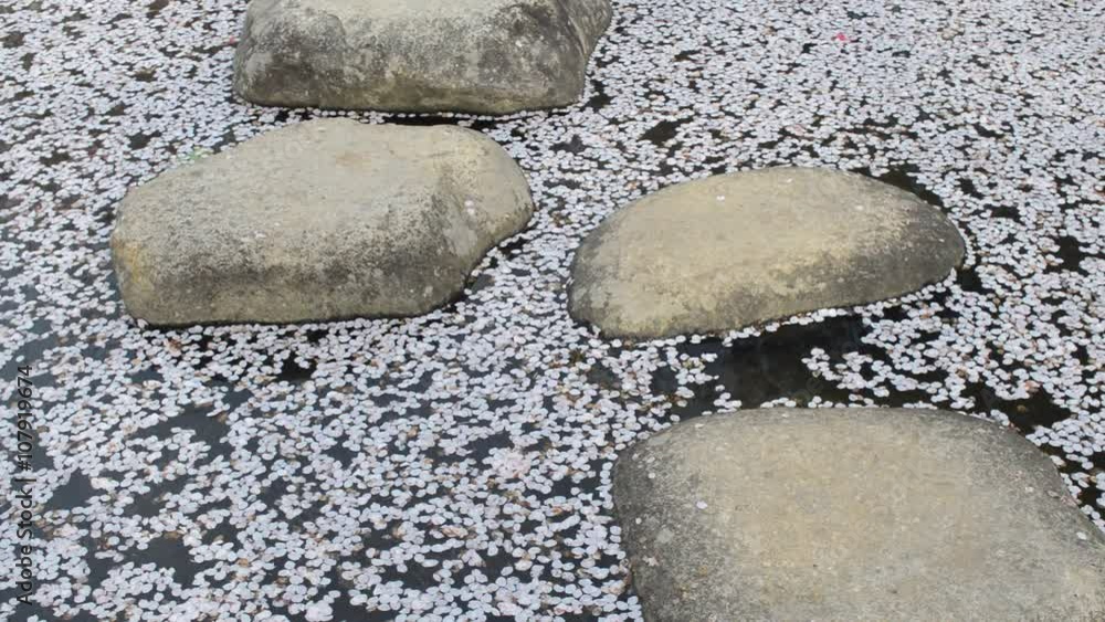 散り桜 散り桜