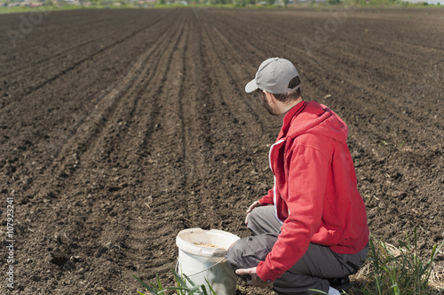 Planting soybean on field photo