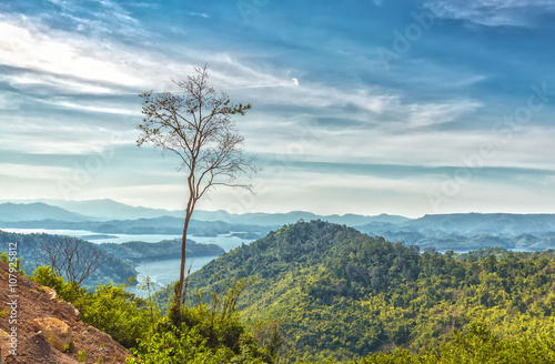 Lonely hillside trees, mountains in the distance are protruding, misty fog up on the lake Ta Dung hydropower generated unspoiled beauty, idyllic in the highlands of Vietnam