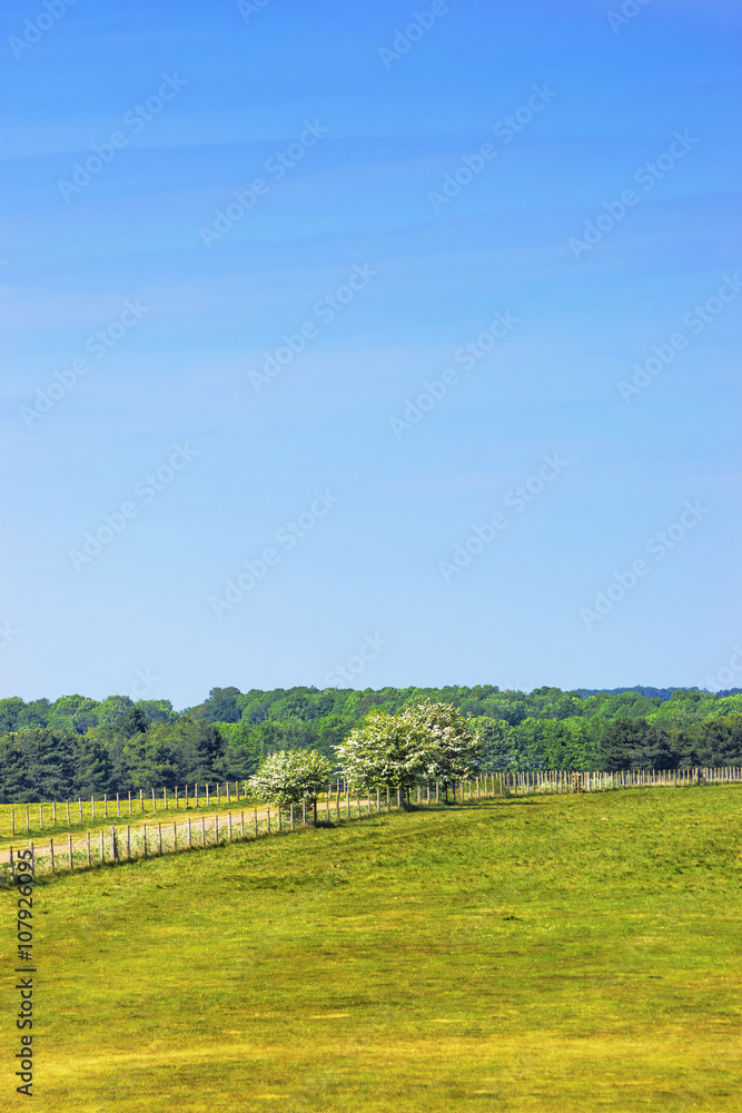 Countryside near Stonehenge in Wiltshire in UK