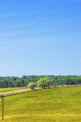 Countryside near Stonehenge in Wiltshire in UK
