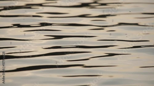 Closeup of river water at sunset in slow motion. Insects interact with the river ripples on a warm summers evening photo