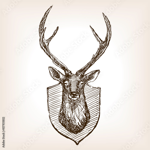 Deer head trophy sketch vector illustration