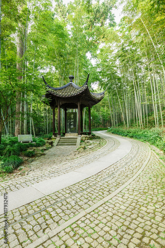 Bamboo forest trail of Hangzhou famous scenic , in China