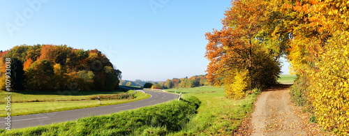 Landstrasse im Herbst zwischen Wald und Feldern
