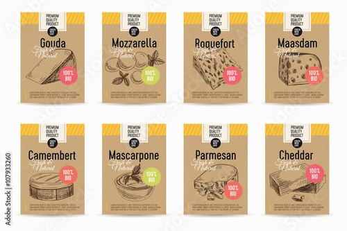 Cheese Vector hand drawn illustration
