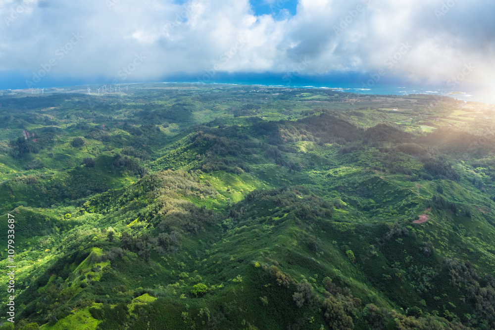 Fototapeta premium aerial view of hawii