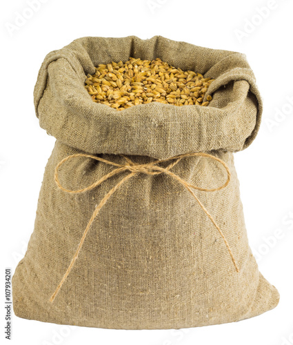 Grain bag