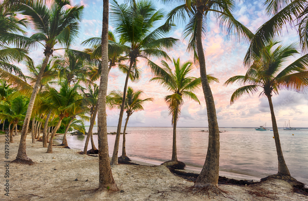 Fototapeta premium Anse Chamapgne