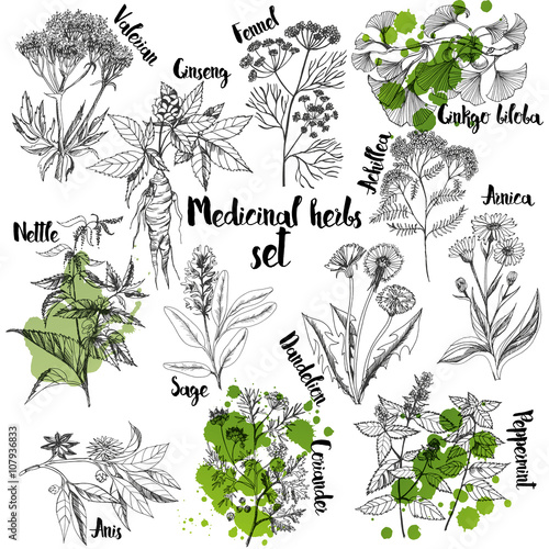 Organic herbs  