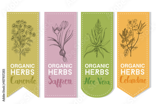 Organic herbs label of camomile saffron aloe vera celandine