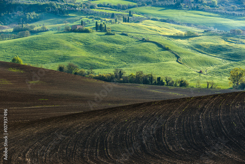 Brown soil and green fields of Tuscany.