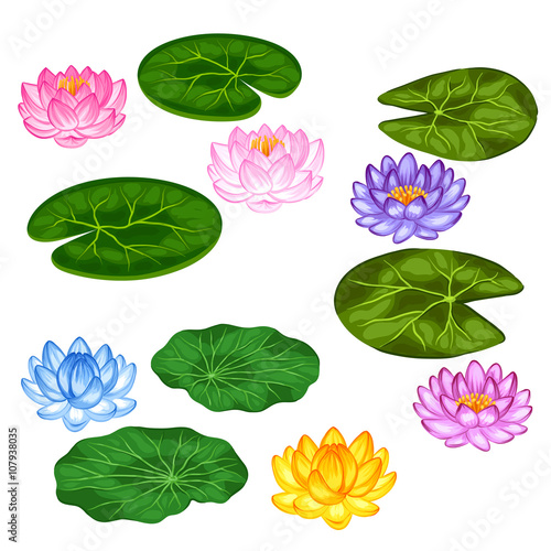 Fototapeta Naklejka Na Ścianę i Meble -  Natural set of stylized lotus flowers and leaves. Objects for decoration, design on advertising booklets, banners, flayers