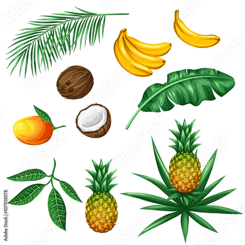 Fototapeta Naklejka Na Ścianę i Meble -  Set of tropical fruits and leaves. Objects for decoration, design on advertising booklets, packaging, menu, flayers