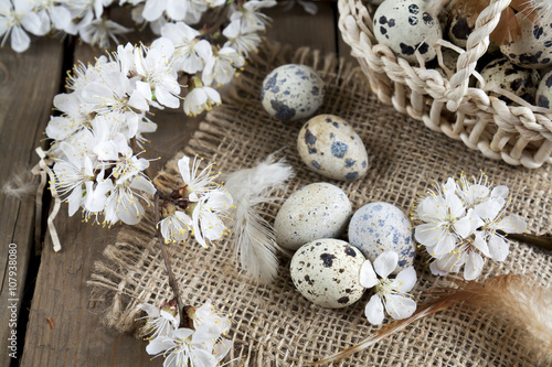 Quail eggs, flowers and feather