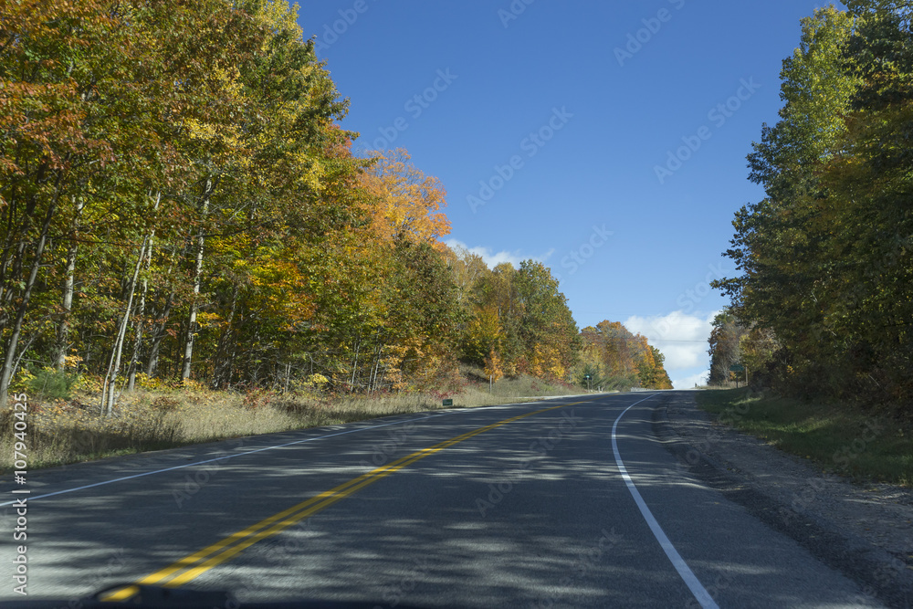 Fototapeta premium the view down a scenic country roadway in autumn landscape