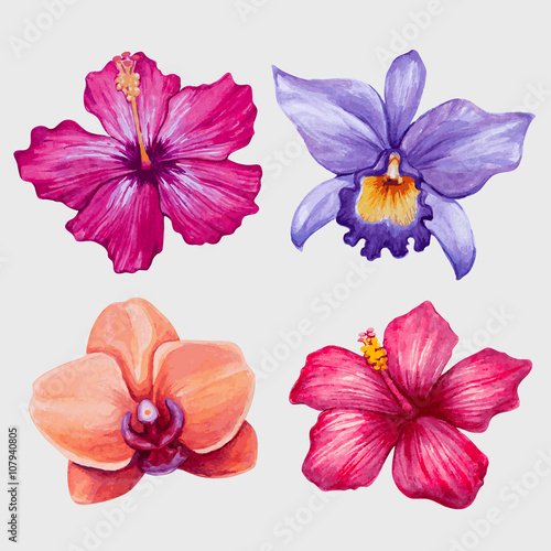Watercolor tropical flowers. Vector illustration.
