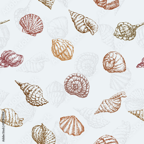 pattern of the sea shells 