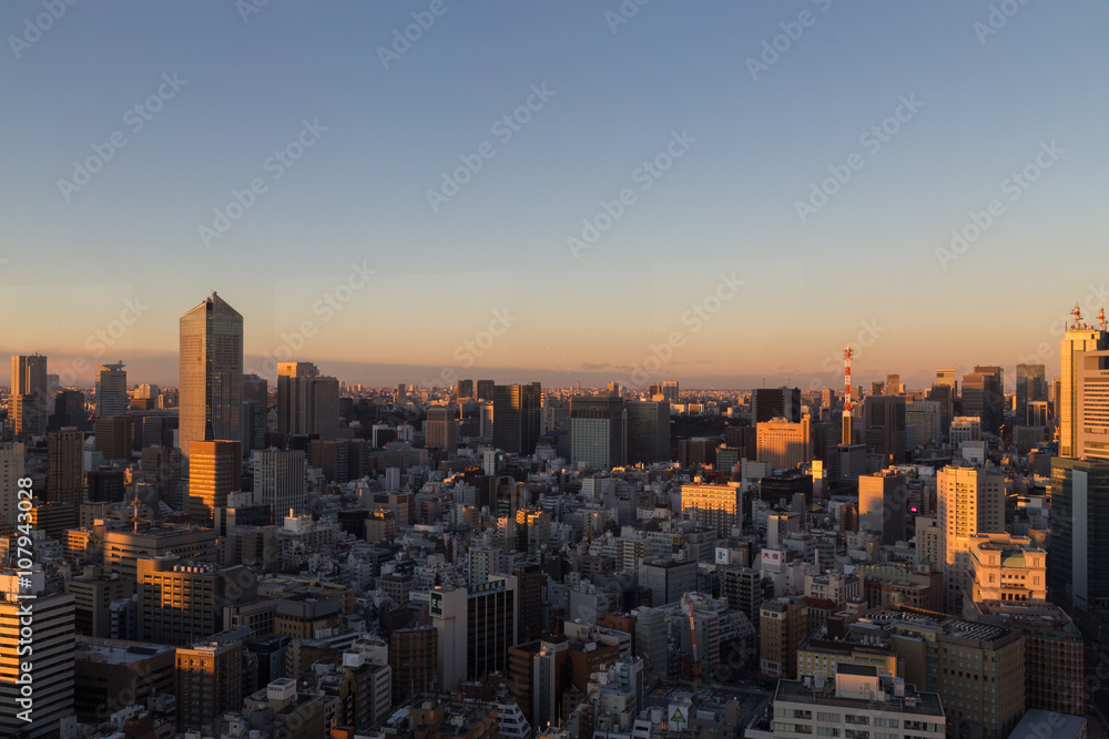 Tokyo skyline during sunset