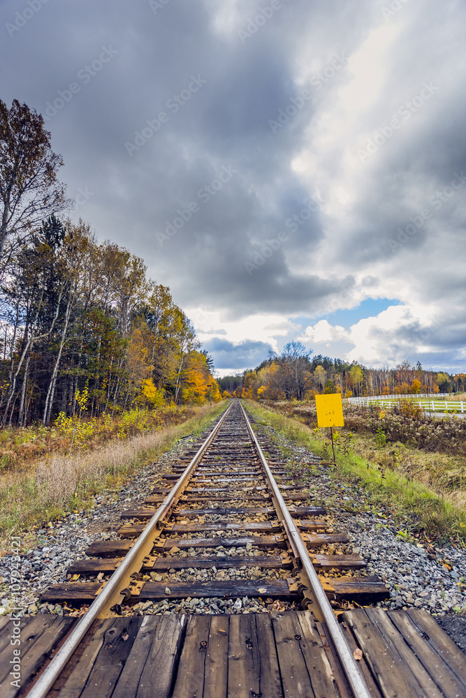 Fototapeta premium Railway Tracks in Remote Landscape Wilderness