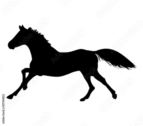 The gallop of the horse  silhouette 