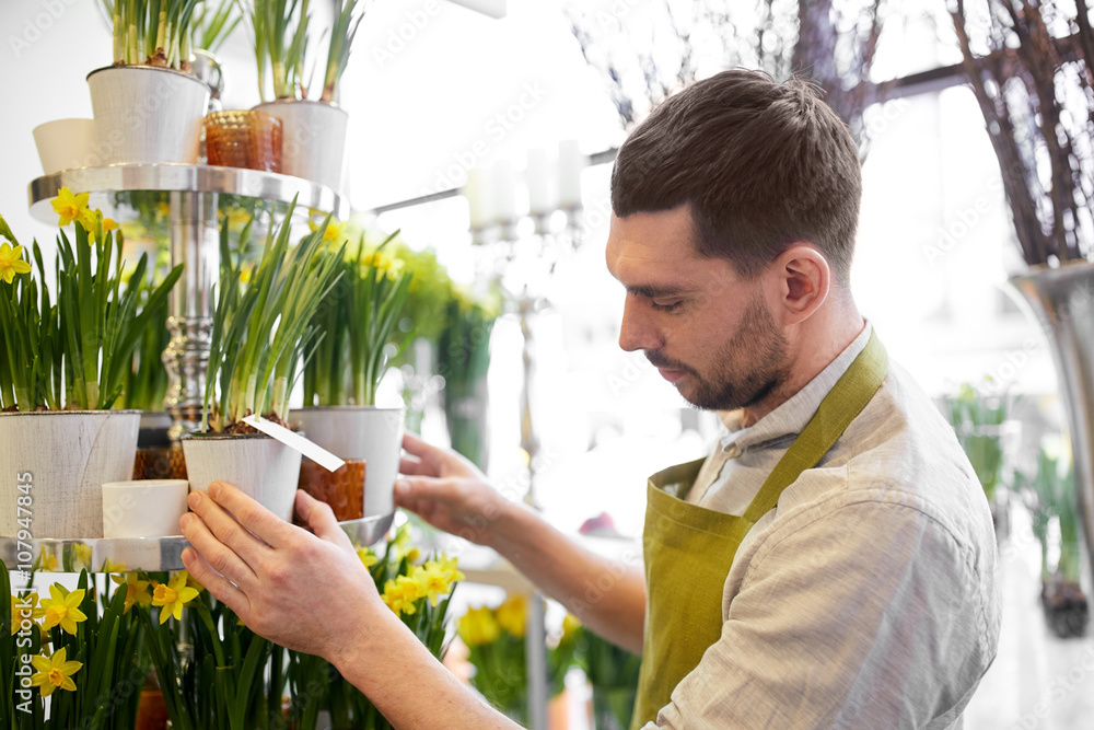 florist man setting flowers at flower shop florist man setting flowers at flower shop