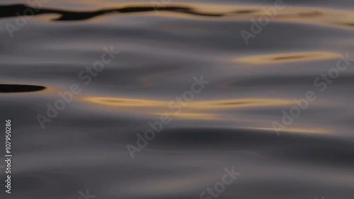 Closeup of river water at sunset in slow motion. Insects interact with the river ripples on a warm summers evening photo