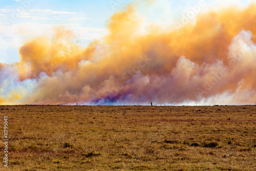 фотографія The deliberate and controlled burning of heather on a moor