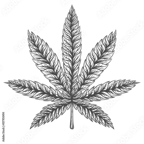 Marijuana stuff collection.