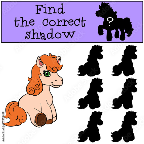 Children games: Find the correct shadow. Little cute pony sits and smiles.