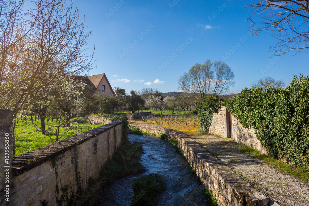 ruisseau de campagne ruisseau de campagne
