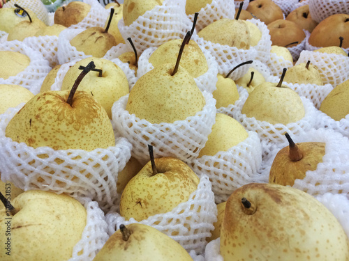 Chinese pear photo