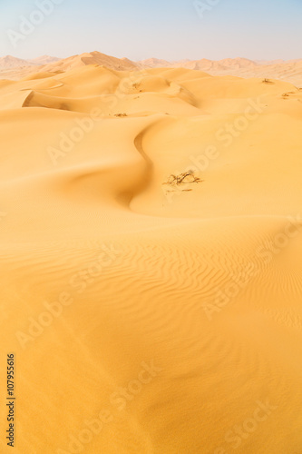 in oman old outdoor sand dune