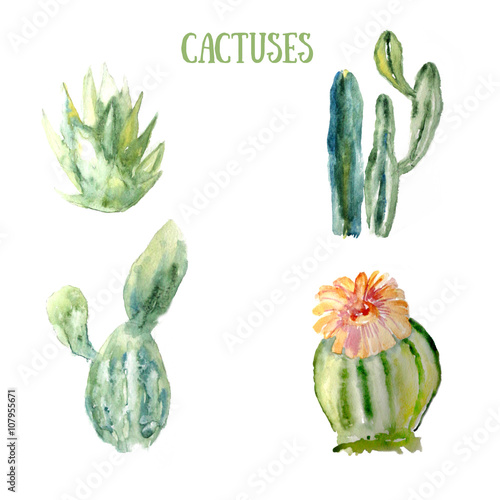 Watercolor cactus set.
