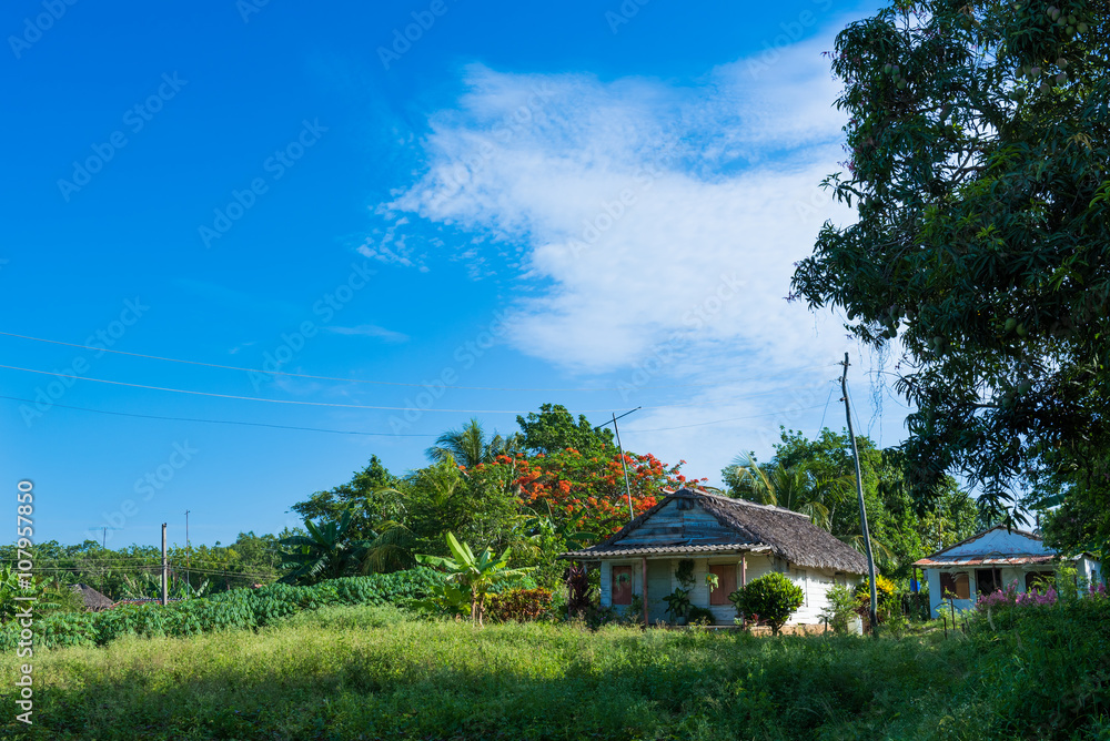 Kuba Doku -  Häuser und Höfe im Landesinneren der Provinz Cienfuegos