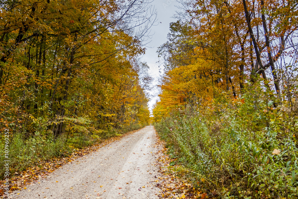 the view down a scenic country roadway in autumn landscape