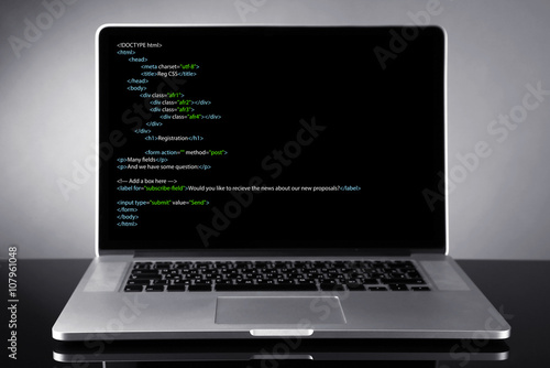 Programming code on laptop monitor