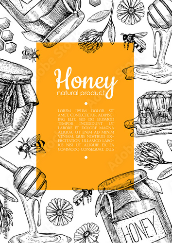 Vector honey bee hand drawn illustrations.  Honey banner, poster