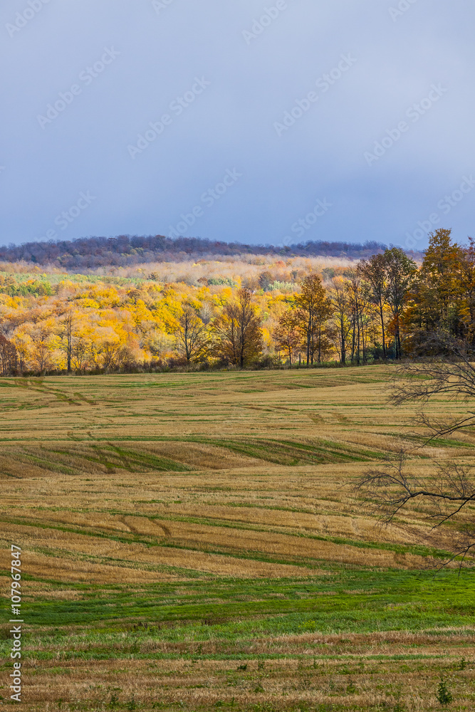 scenic view of rural countryside scenic view of rural countryside