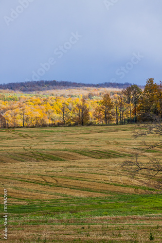 Fototapeta Naklejka Na Ścianę i Meble -  scenic view of rural countryside