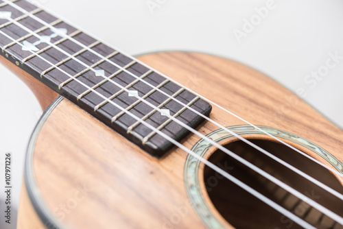 Ukulele