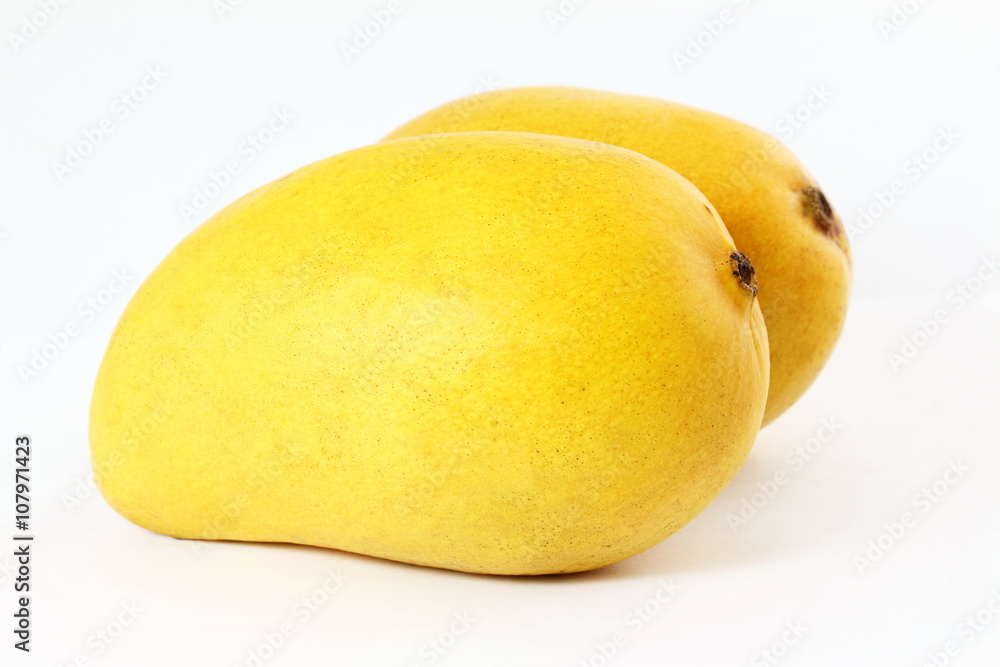yellow mango fruit closeup isolated on white background