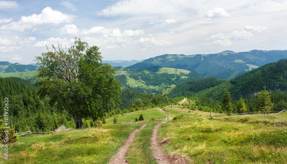 The slopes of the Carpathian Mountains. The landscape of green hills.