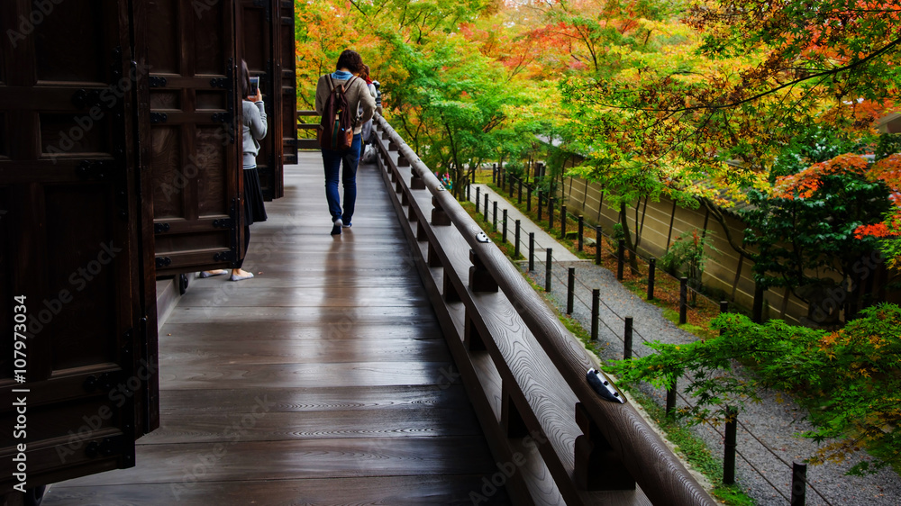 Fototapeta premium people enjoy autumn leaves near Eikando temple