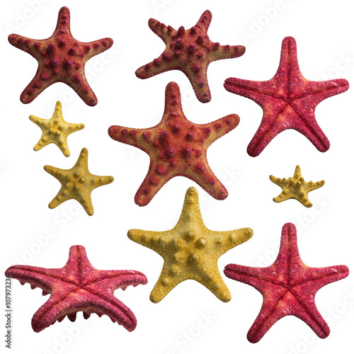 Starfish collage pack