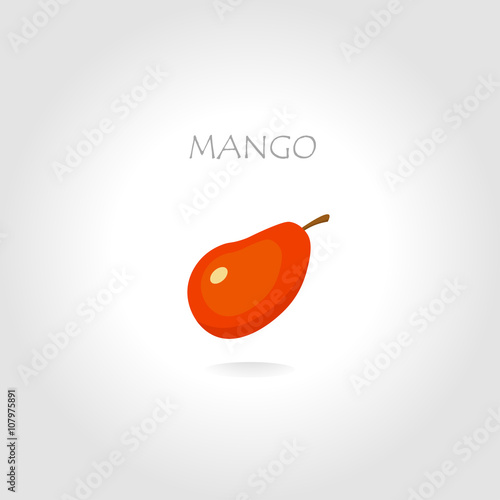 mango vector illustration