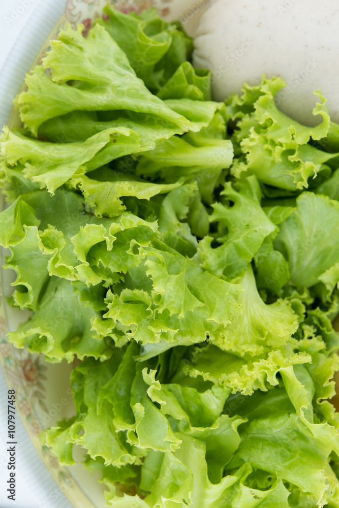 Lettuce Lettuce